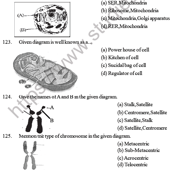 NEET Biology Cell Structure And Function MCQs Set A, Multiple Choice ...